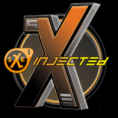 sXe Injected Client
